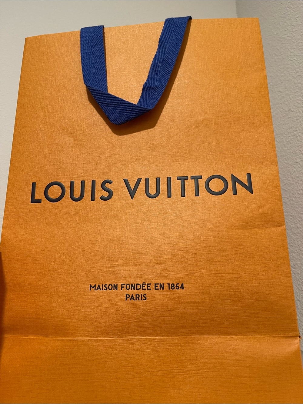Louis Vuitton medium shopping bag